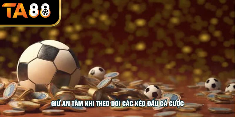 Giữ an tâm khi theo dõi các kèo đấu cá cược